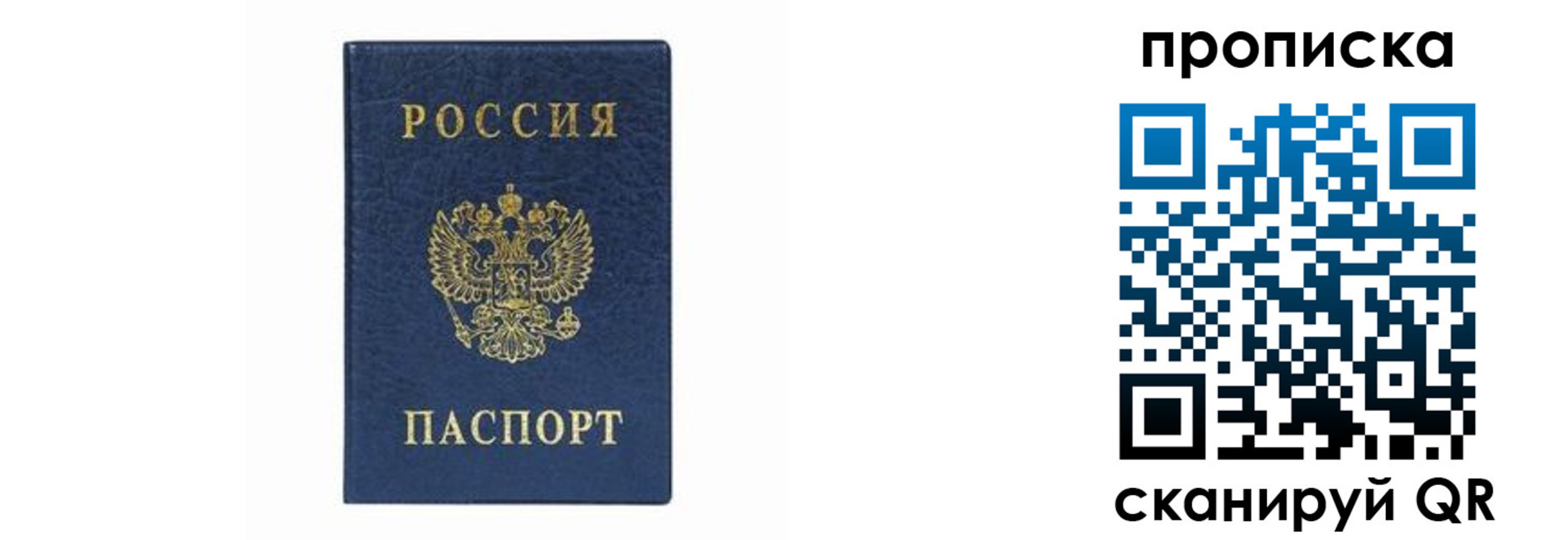 временная регистрация поиск в Тереке